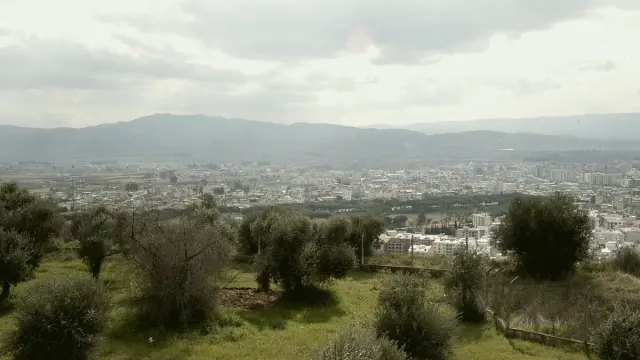 Aydın