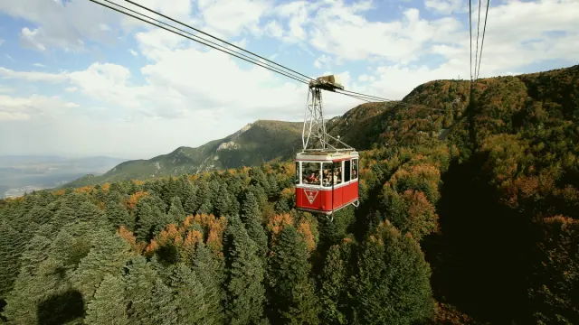 Bursa