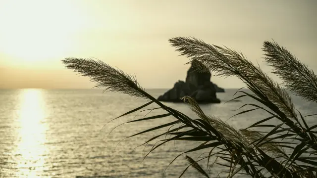 Gazipaşa