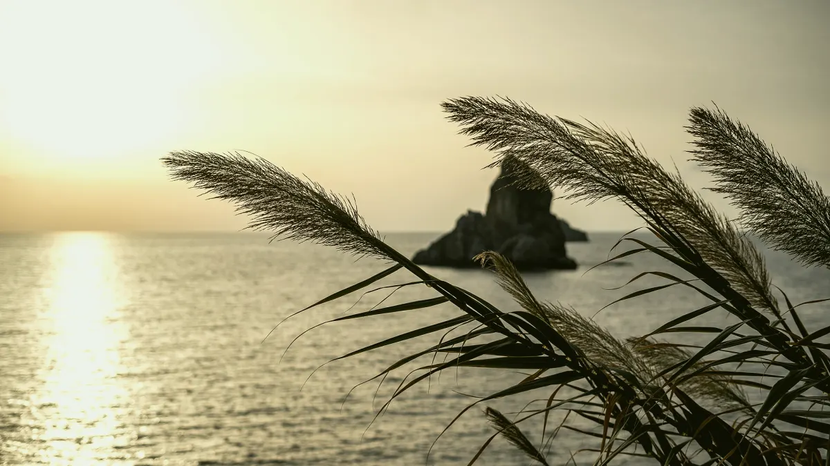 Gazipaşa, Antalya