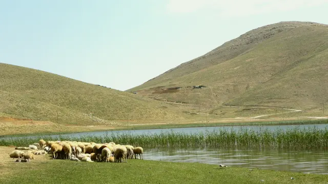 Gündoğmuş