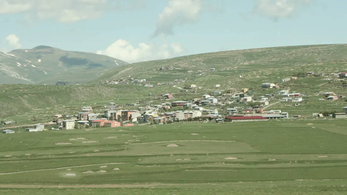 Damal, Ardahan