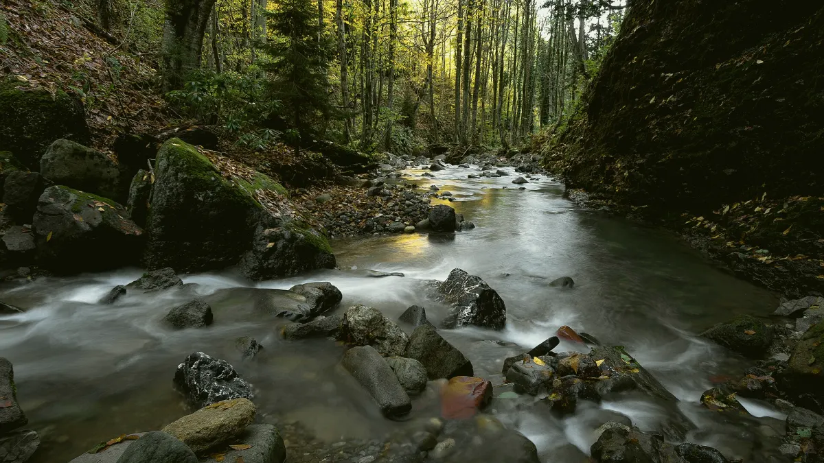 Murgul, Artvin