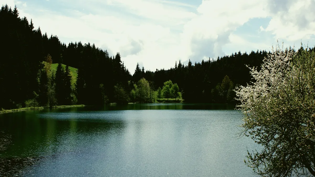 Şavşat, Artvin