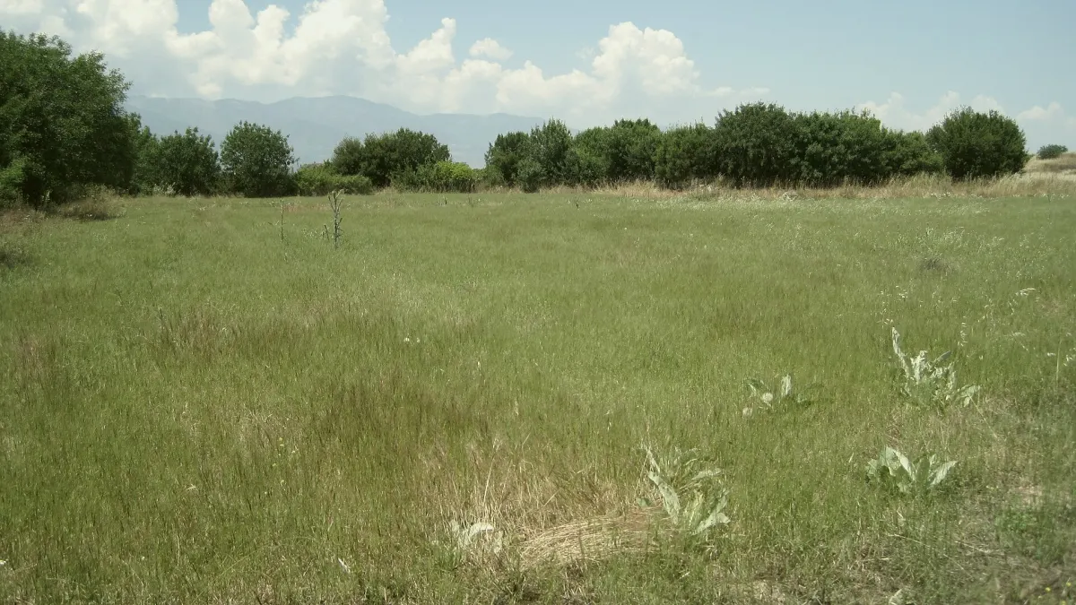 Karacasu, Aydın