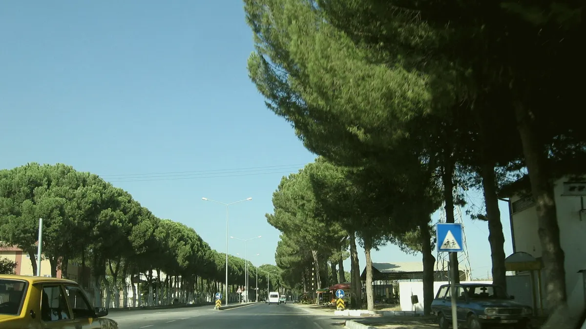 Sultanhisar, Aydın