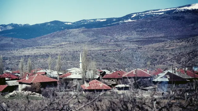 Kıbrıscık