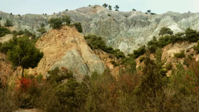 Kargı