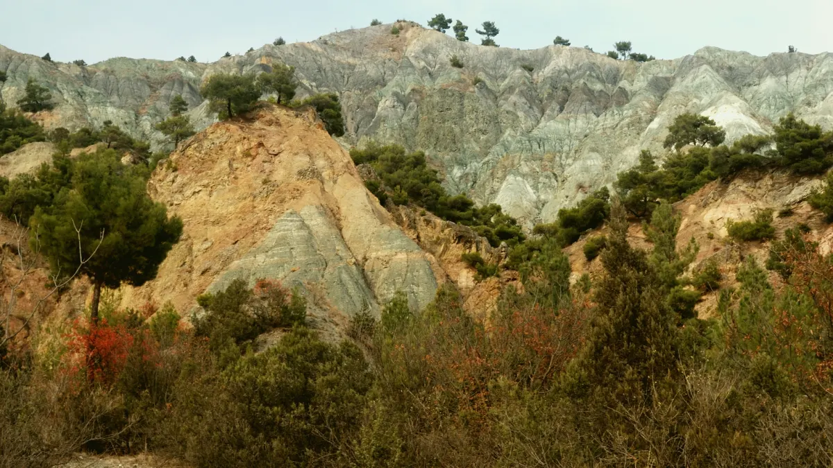 Kargı, Çorum