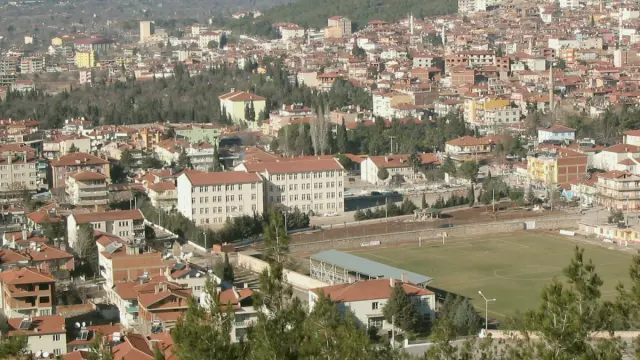 Tavas