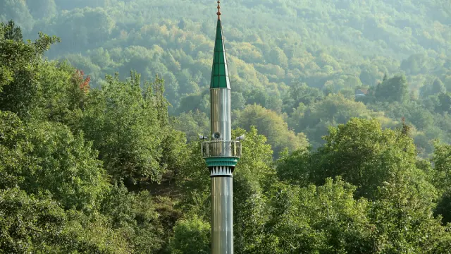 Kaynaşlı