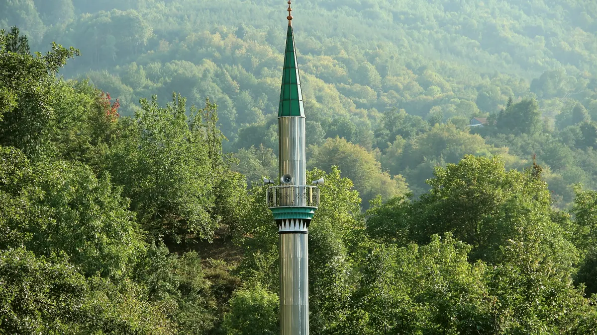 Kaynaşlı, Düzce
