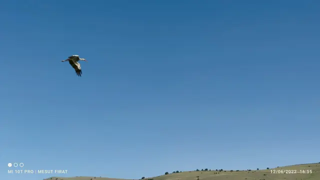 Ağın