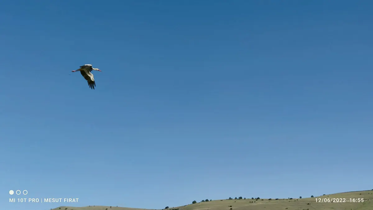 Ağın, Elazığ
