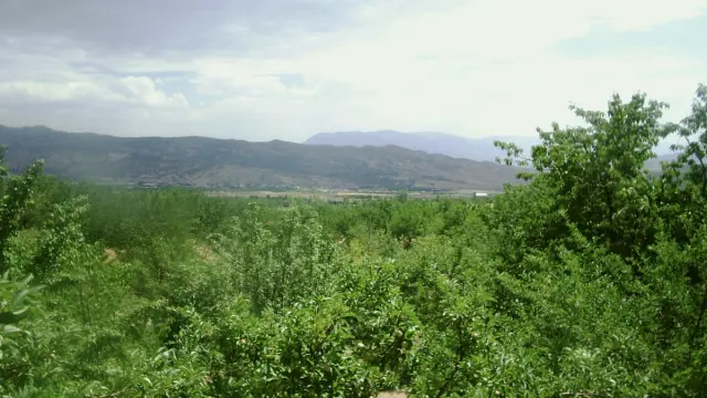 Baskil