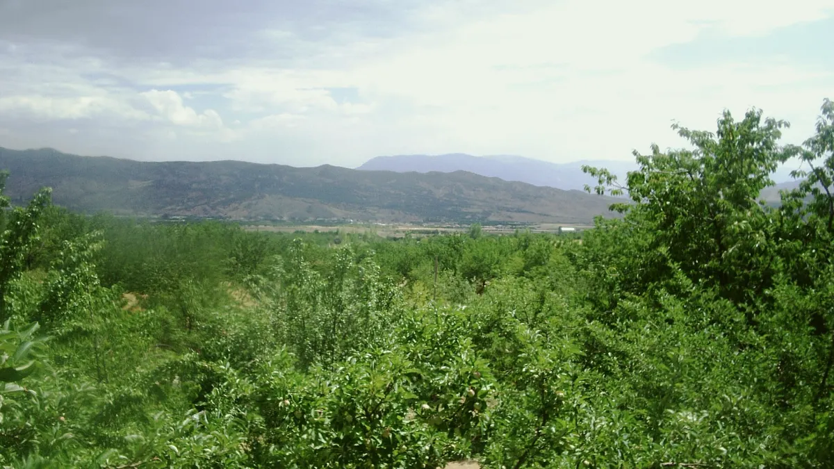 Baskil, Elazığ