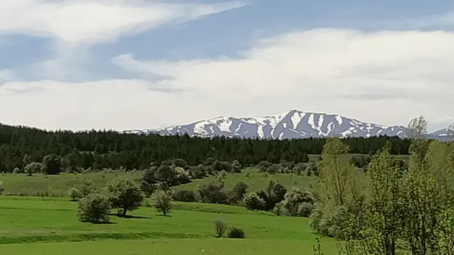Refahiye