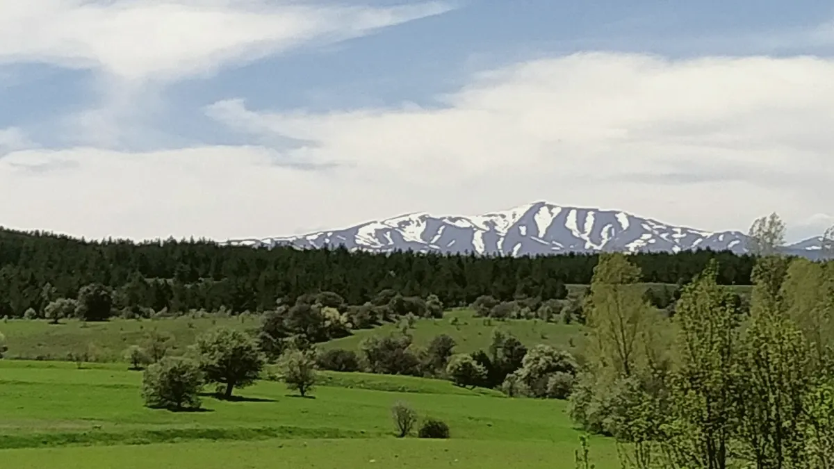 Refahiye, Erzincan