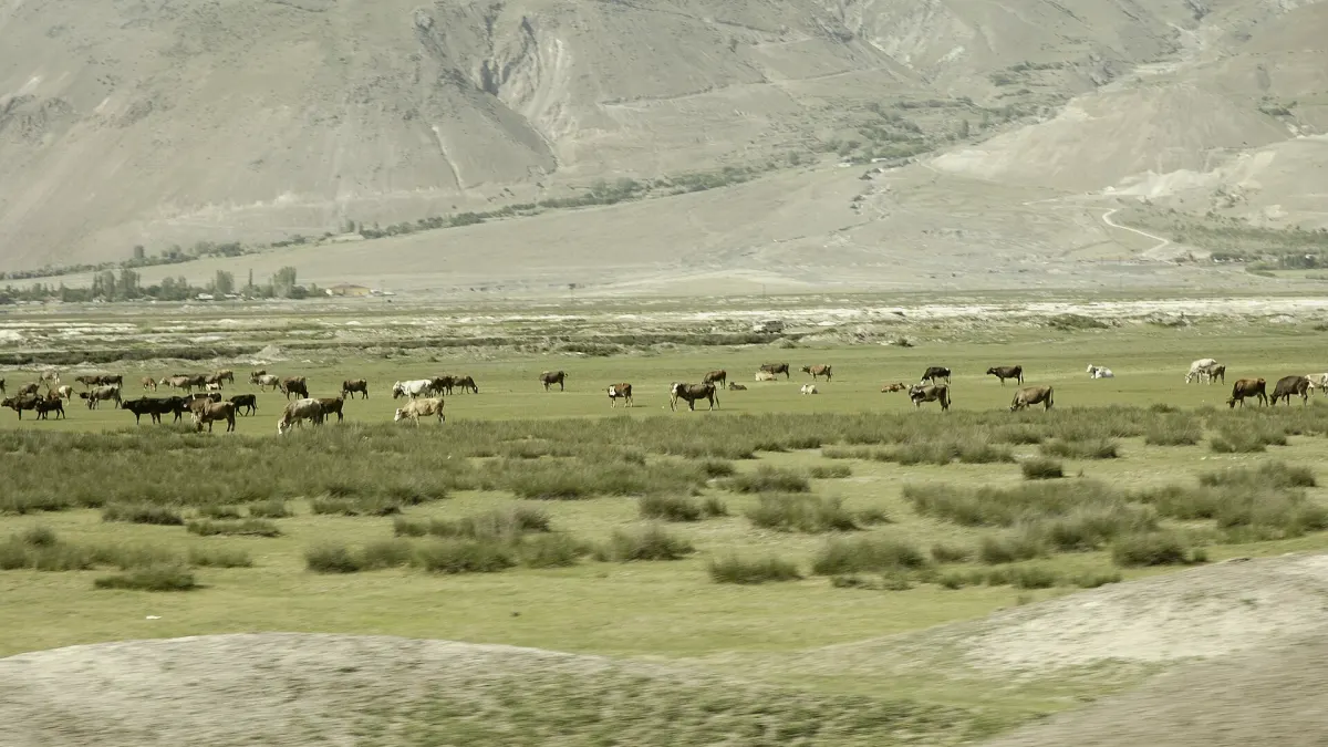 Tercan, Erzincan