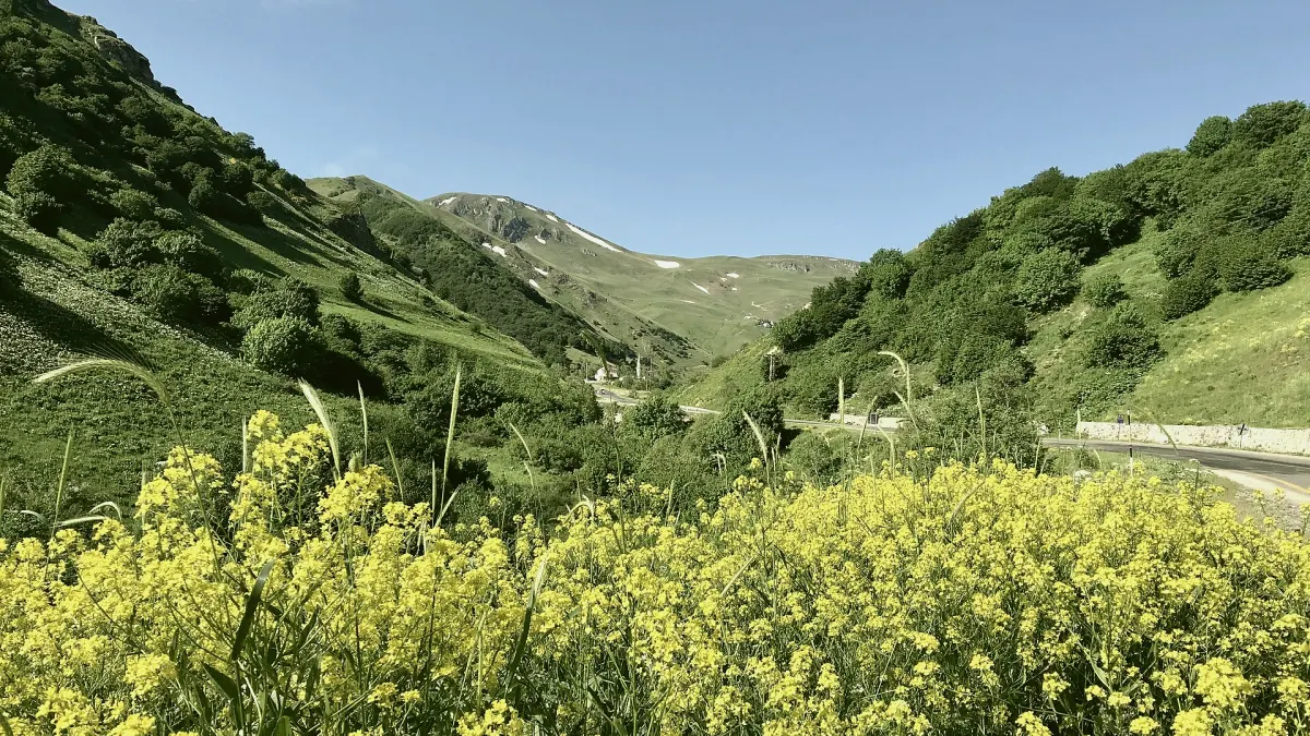 Dereli, Giresun