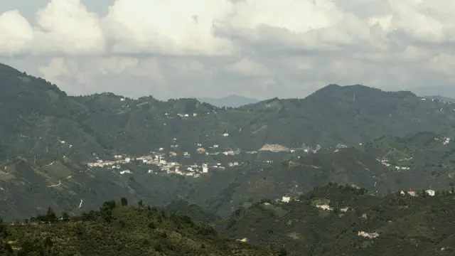 Güce