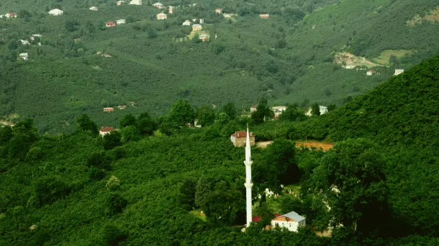Tirebolu
