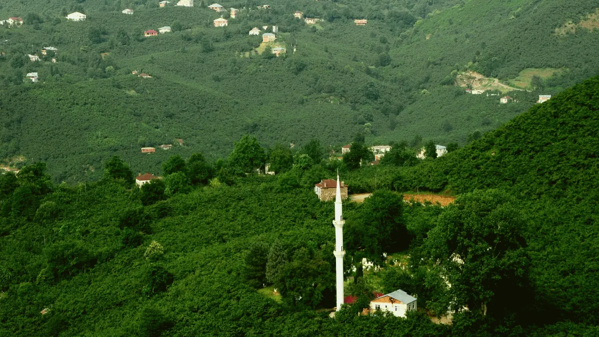 Tirebolu, Giresun