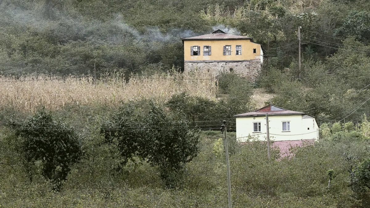 Yağlıdere, Giresun