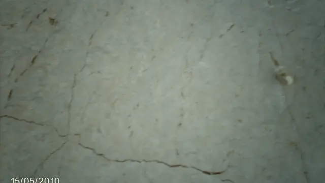 Sütçüler