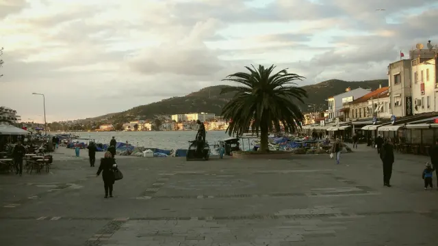 Foça