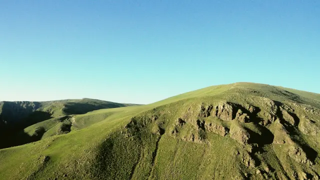 Arpaçay