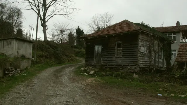 Çatalzeytin