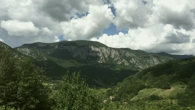 Cide