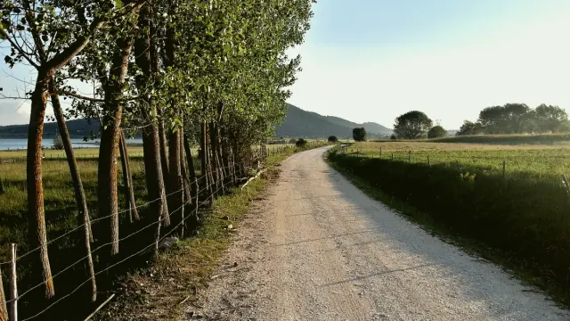 Devrekani