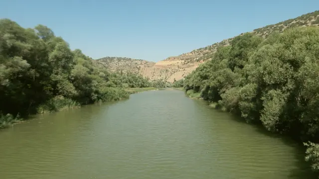 Yahyalı