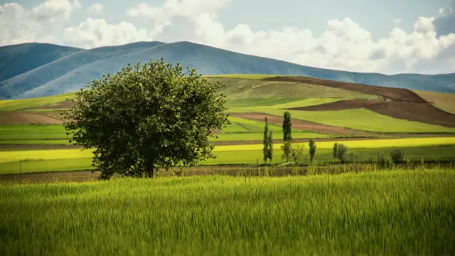 Akpınar