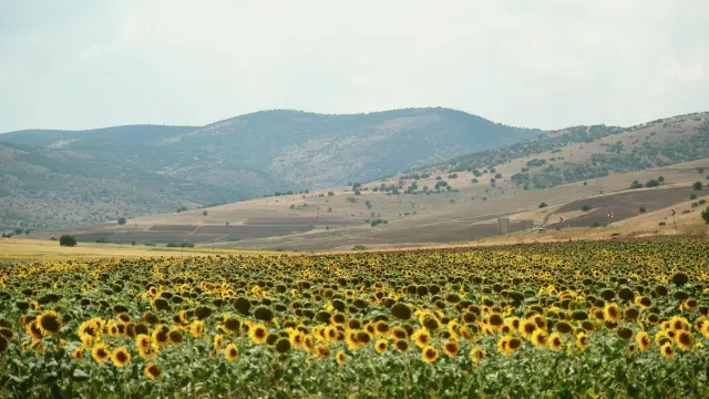 Boztepe