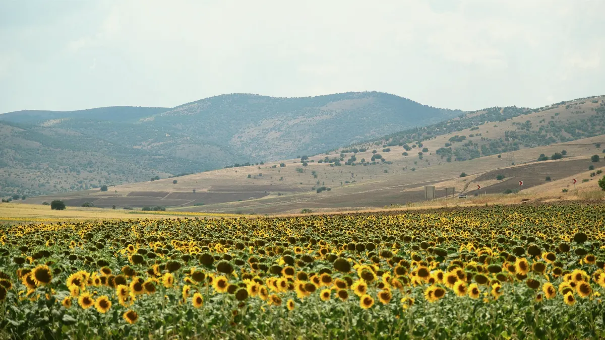 Boztepe, Kırşehir