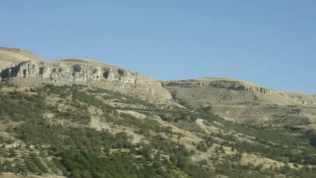 Akçadağ