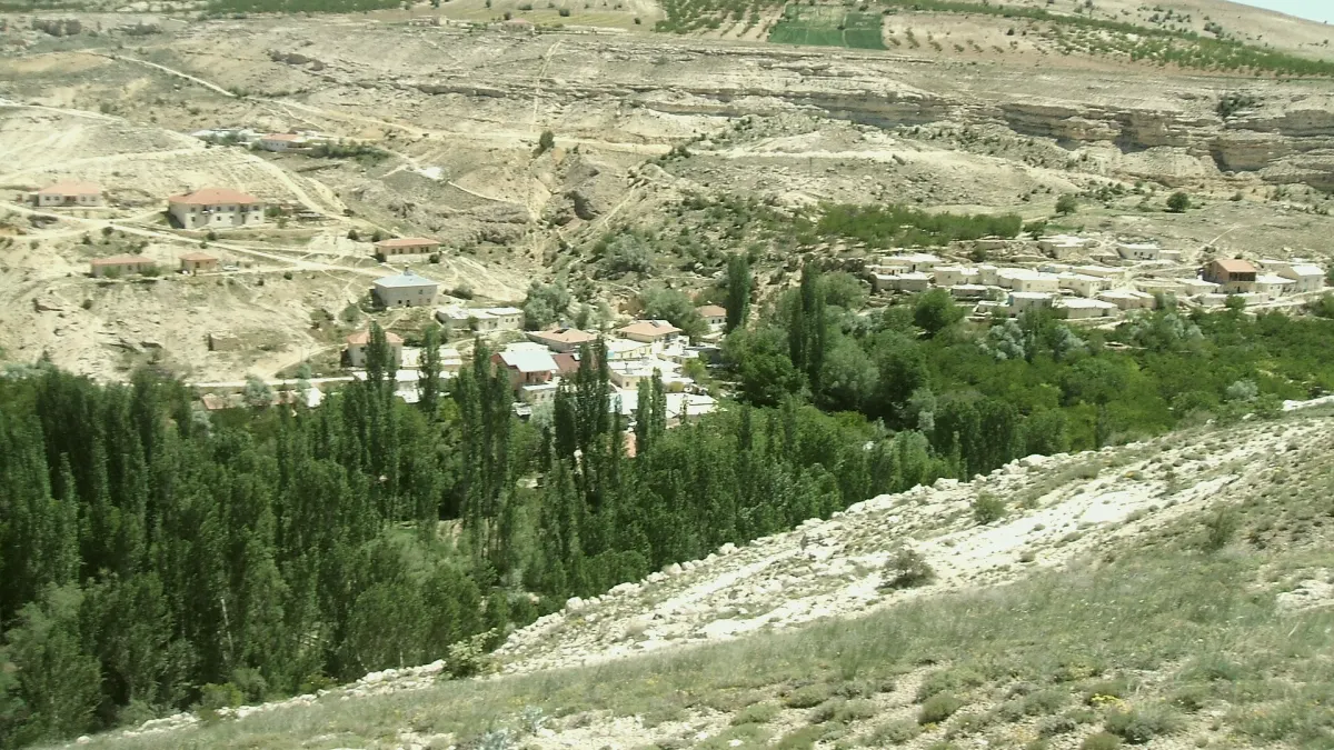 Hekimhan, Malatya