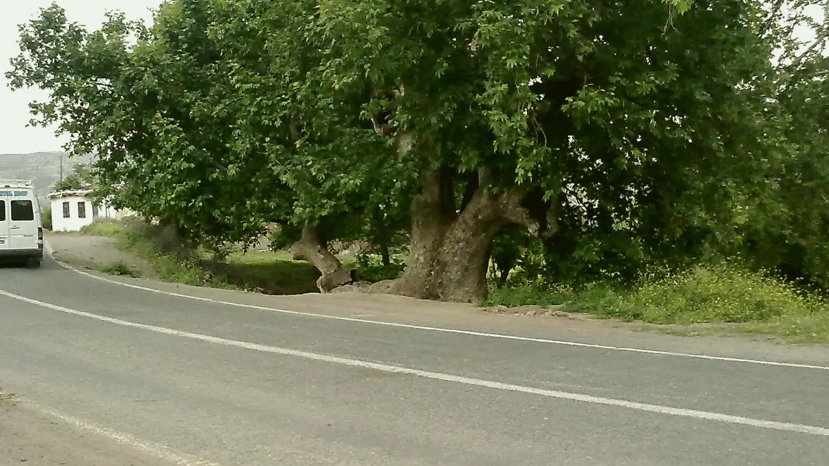 Pütürge, Malatya