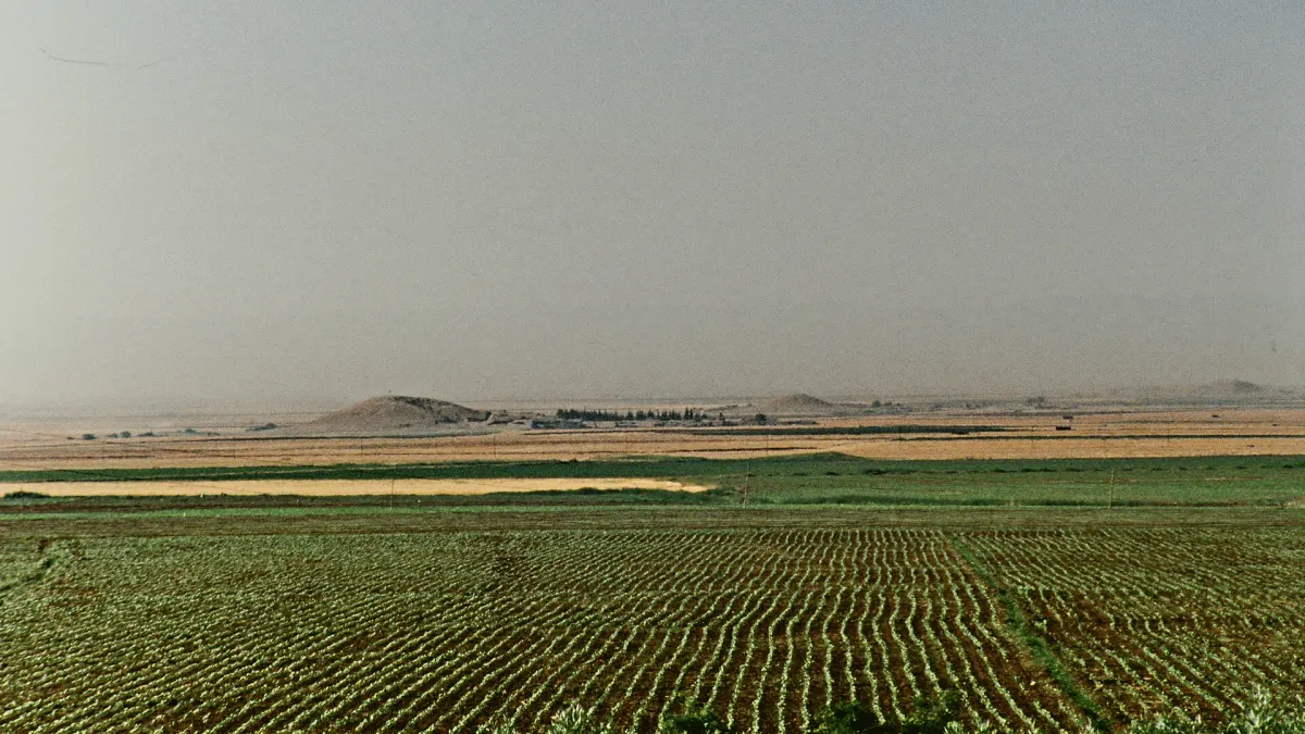 Nusaybin, Mardin