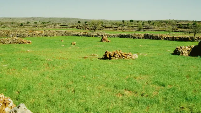 Ömerli