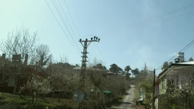 Çamlıyayla