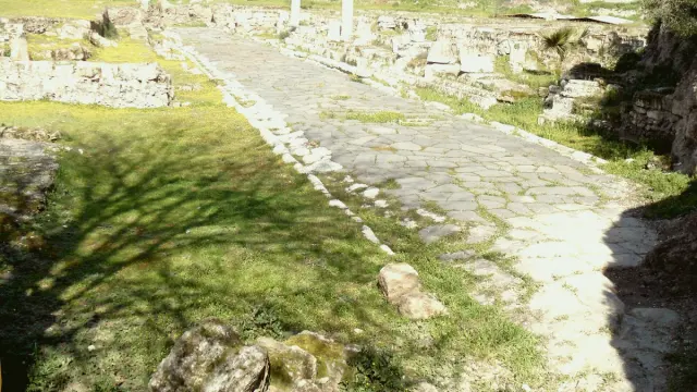 Tarsus