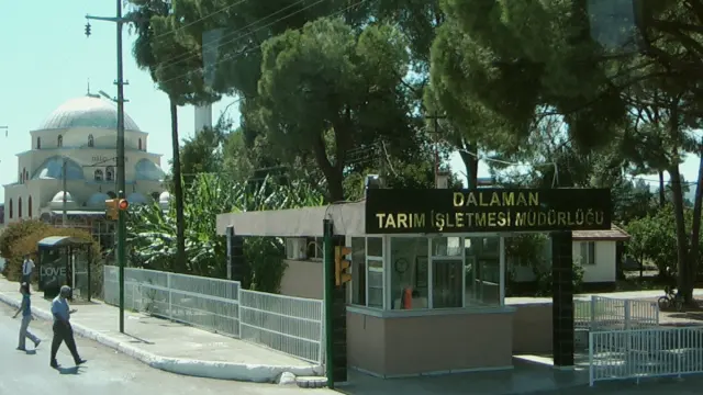 Dalaman