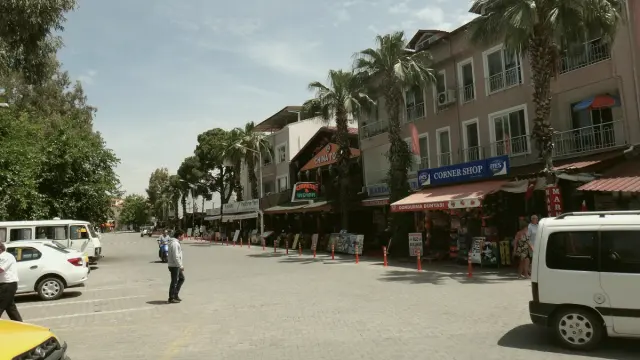 Ortaca