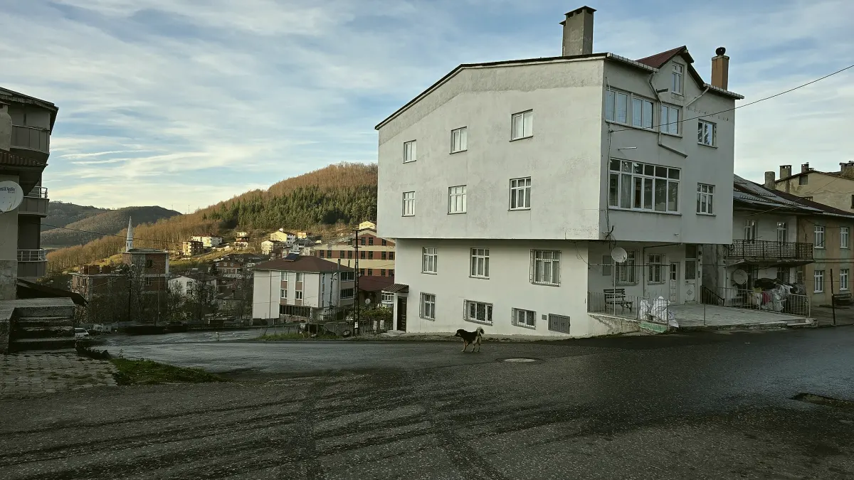 Akkuş, Ordu