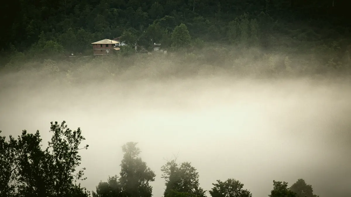 Çamaş, Ordu