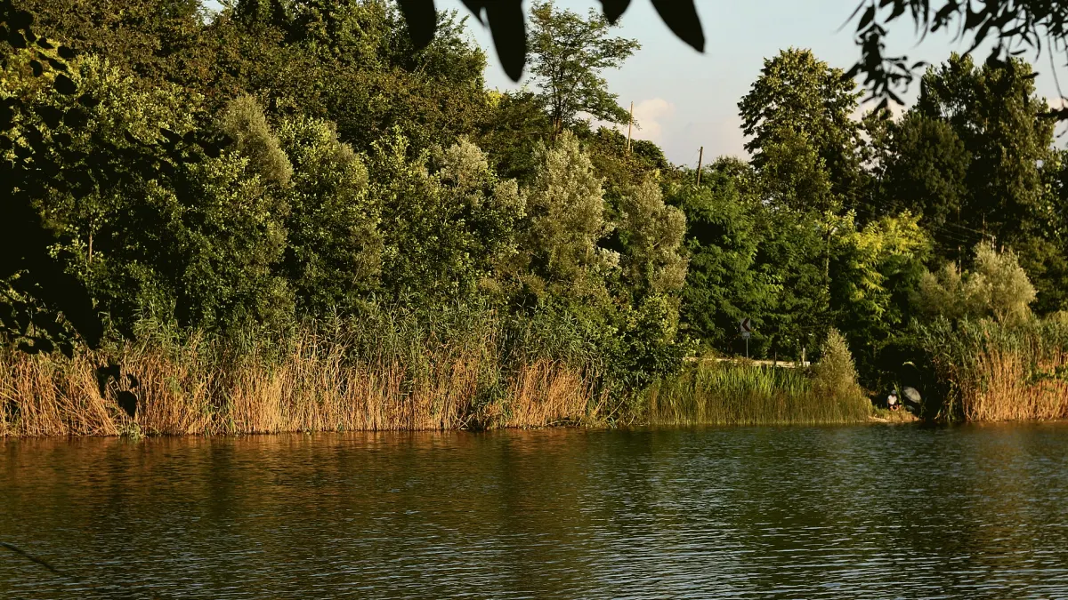 Fatsa, Ordu